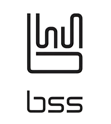 BSSIT logo