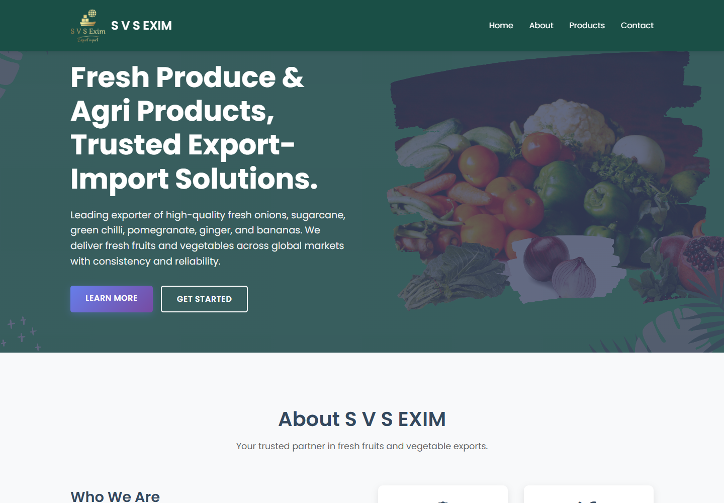 SVS Exim website screenshot